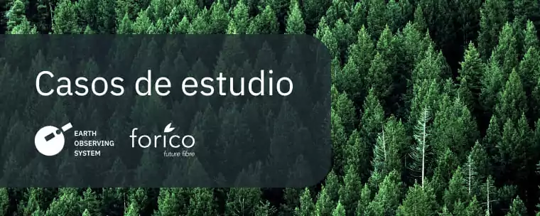 Informe Del Progreso De La Cosecha Forestal Con EOSDA