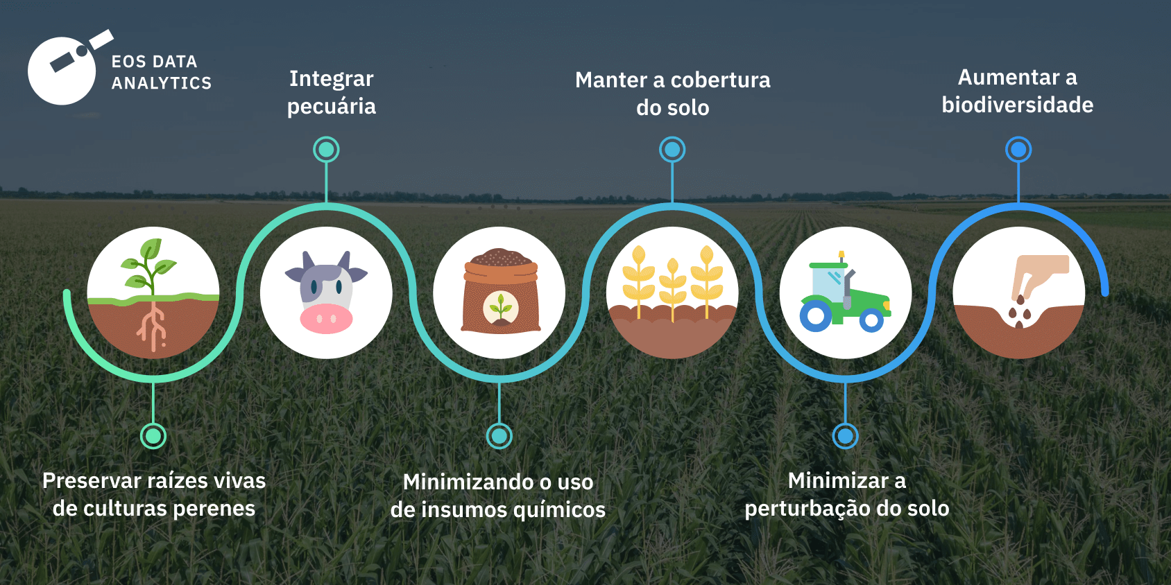 princípios da agricultura regenerativa