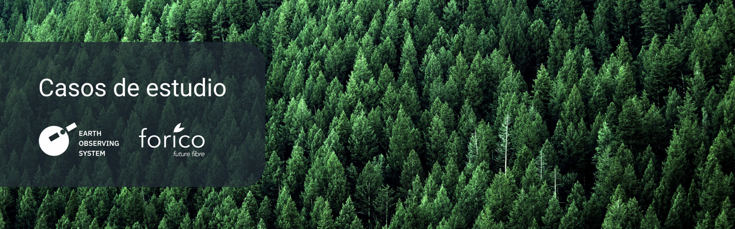 cultivo forestal