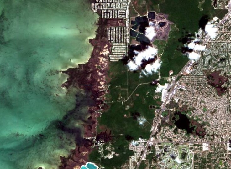 satellite image of Florida