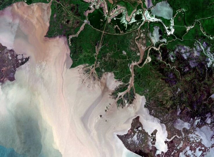 satellite image of Louisiana, USA