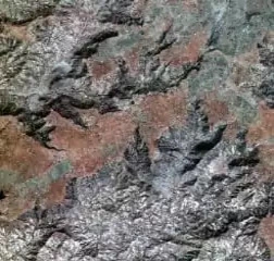 Aiguamolls de Molins de Rei, Barselona, Spain