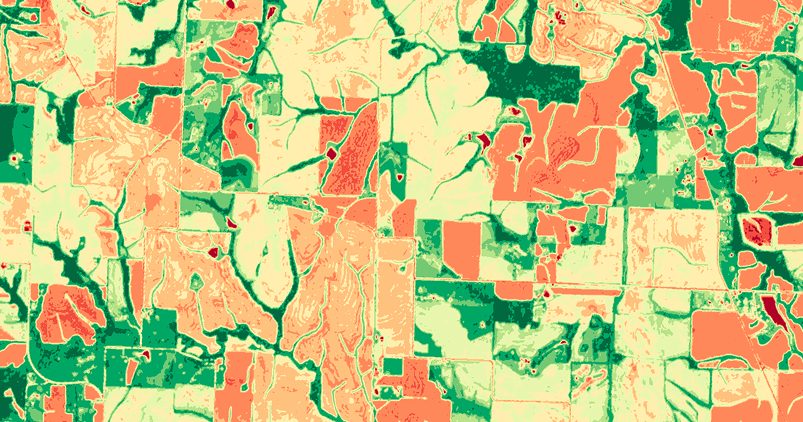 Sentinel-2 satellite image of agriclutural fields in Lafayette County, Missouri taken on May 24, 2024