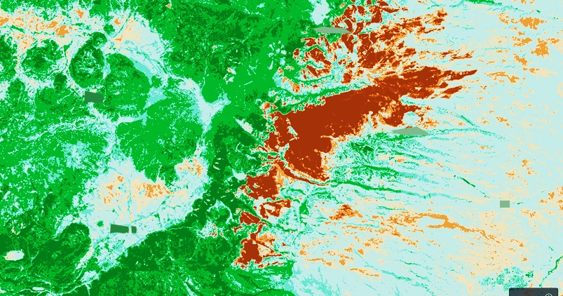 Los Alamos post-fire NBR image captured on June 17, 2000