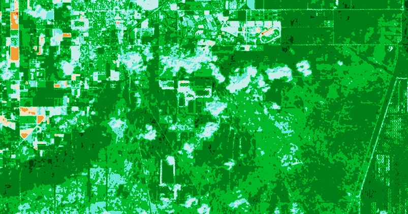 Paisagem de Florida City antes do incêndio florestal em Landsat imagens