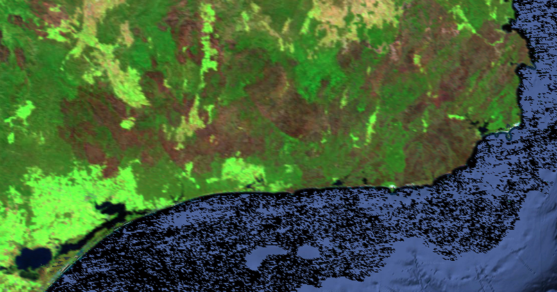 Extensive bushfires caused significant vegetation loss and land degradation, observable via burn indices.