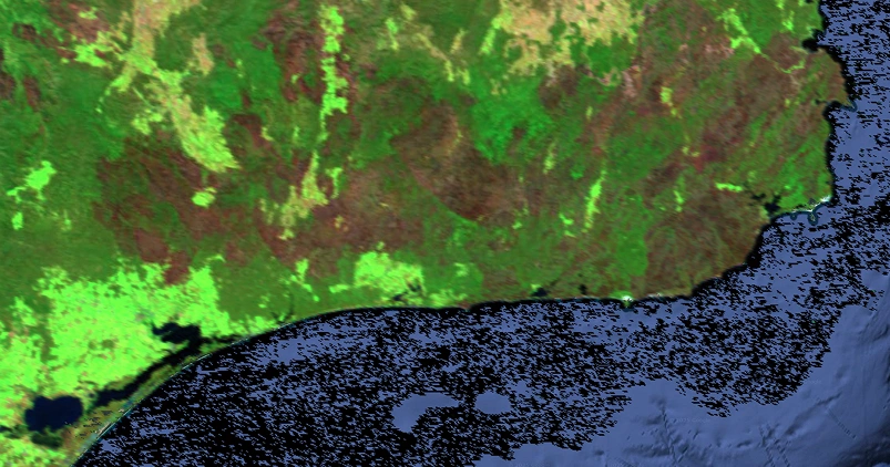 Extensive bushfires caused significant vegetation loss and land degradation, observable via burn indices.