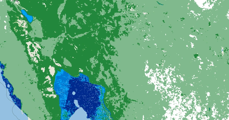 The Western US experienced one of the most severe droughts on the record, leading to significant vegetation stress and water shortages.