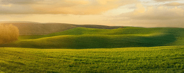 Tecnología Agrícola: Beneficios, Valores Y Expectativas