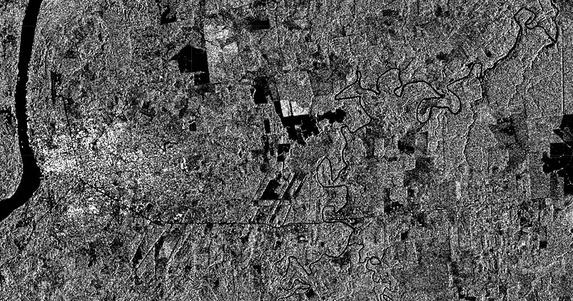 Sentinel-1 Einzelband-Bild zeigt reduzierte Vegetationsdichte durch Abholzung.