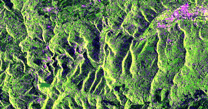 Sentinel-1 IW-Modus: Flächen vor der Überschwemmung erscheinen grün
