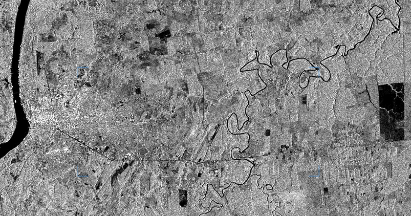 single-band image of a mixed-use landscape dominated by forest canopy