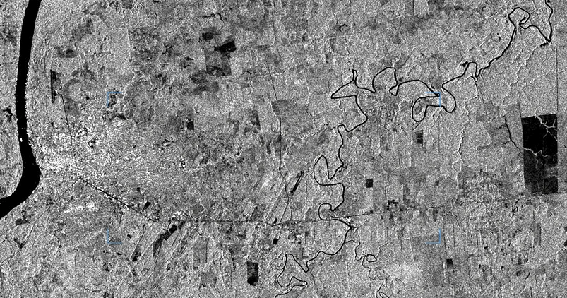 Einzelband-Bild eines überwiegend bewaldeten Gebietes.