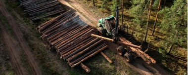 Extracción De Madera: Métodos E Implementación