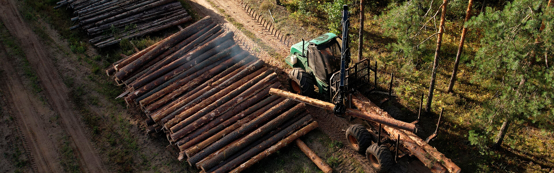 Tiềm năng của Timber Harvesting hiện đang là vấn đề nóng trên thị trường gỗ. Bạn sẽ cập nhật được những thông tin mới nhất về nó thông qua việc xem các hình ảnh và bài viết liên quan đến Timber Harvesting. Và chắc chắn bạn sẽ khám phá ra những kỹ thuật mới mà đang được thực hiện một cách chuyên nghiệp và đảm bảo giá trị.