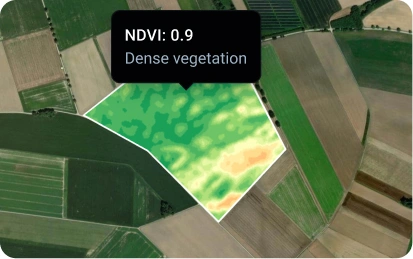 NDVI