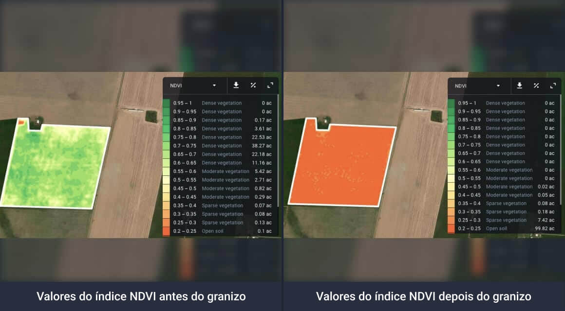 mudanças no índice NDVI de um campo danificado pelo granizo