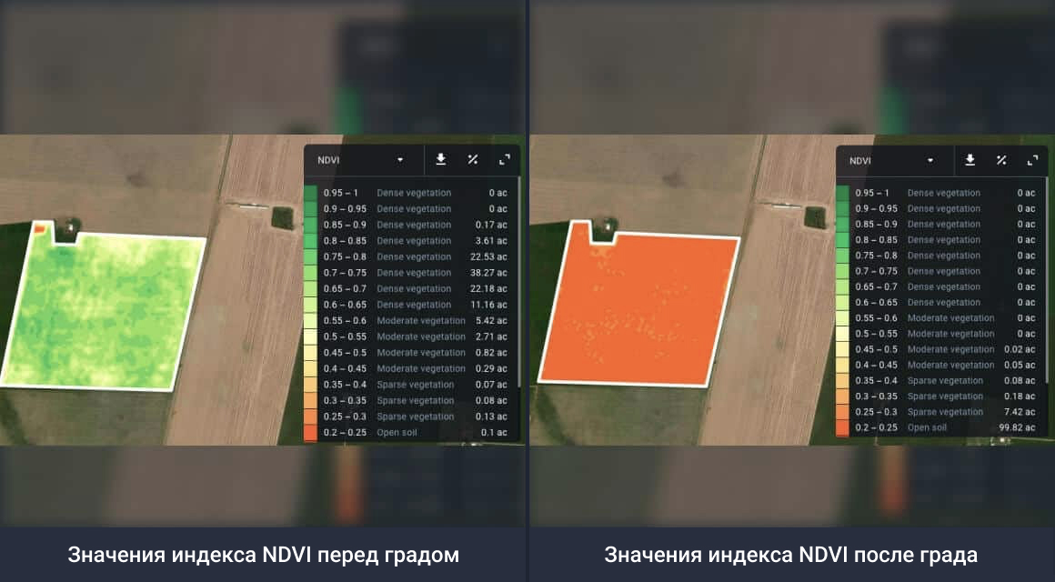 изменения значений индекса NDVI на поврежденном градом поле