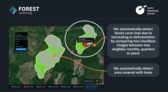 detection of deforested areas