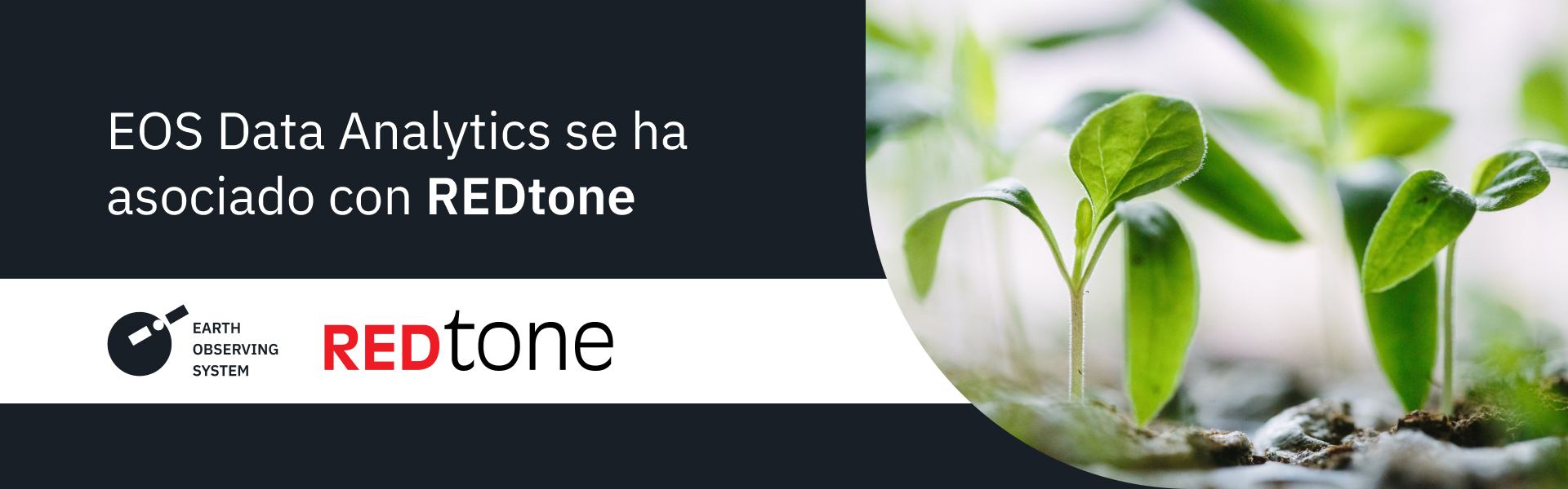 EOS Data Analytics anuncia un acuerdo de colaboración con REDtone