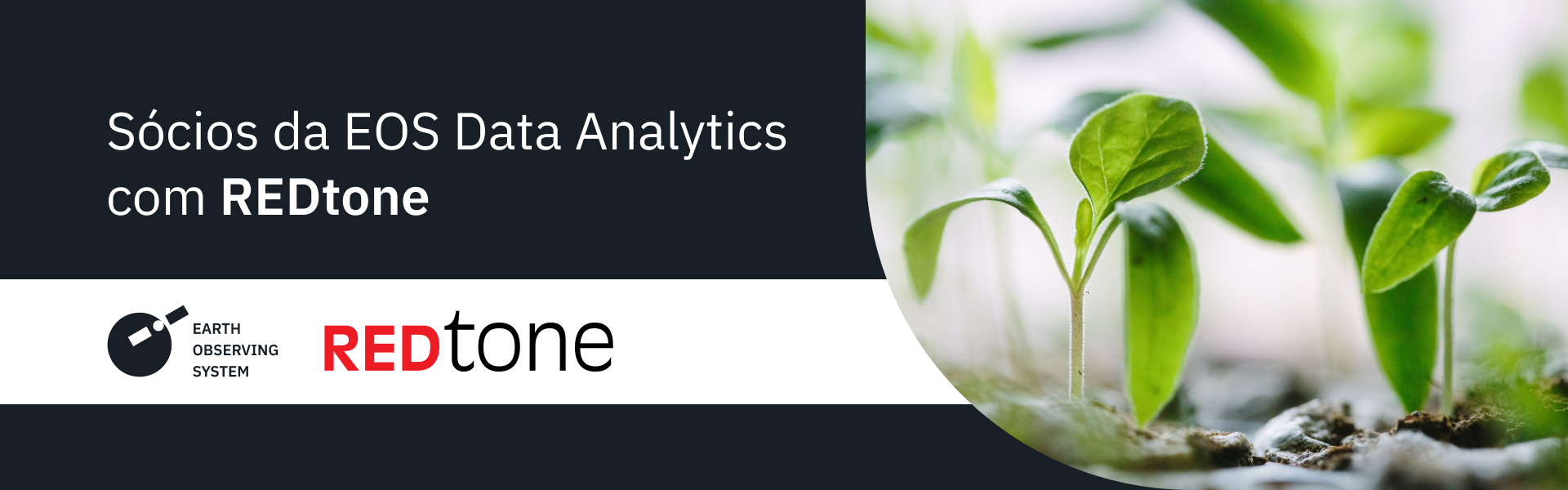 EOS Data Analytics anuncia parceria com REDtone