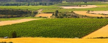 Cooperativas Agrícolas E Seus Tipos: Prós E Contras