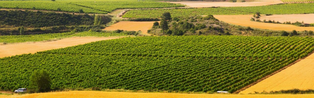 agricultural cooperative field