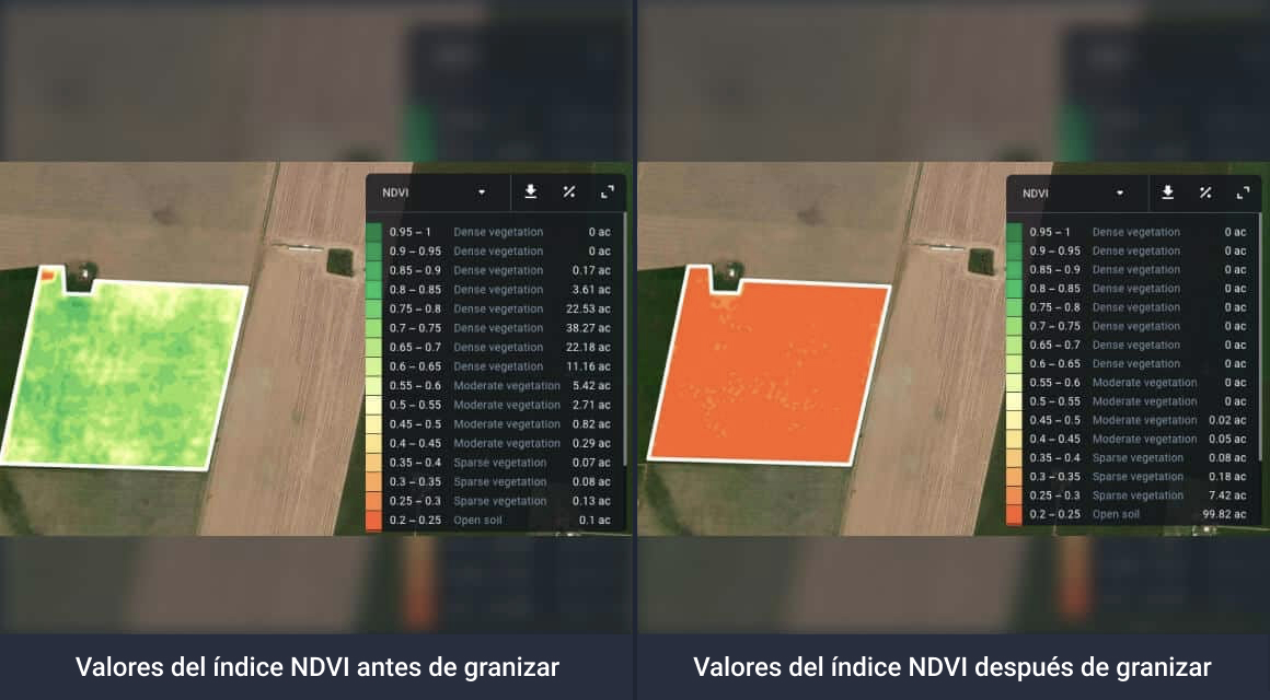 cambios en el índice NDVI en un campo dañado por el granizo