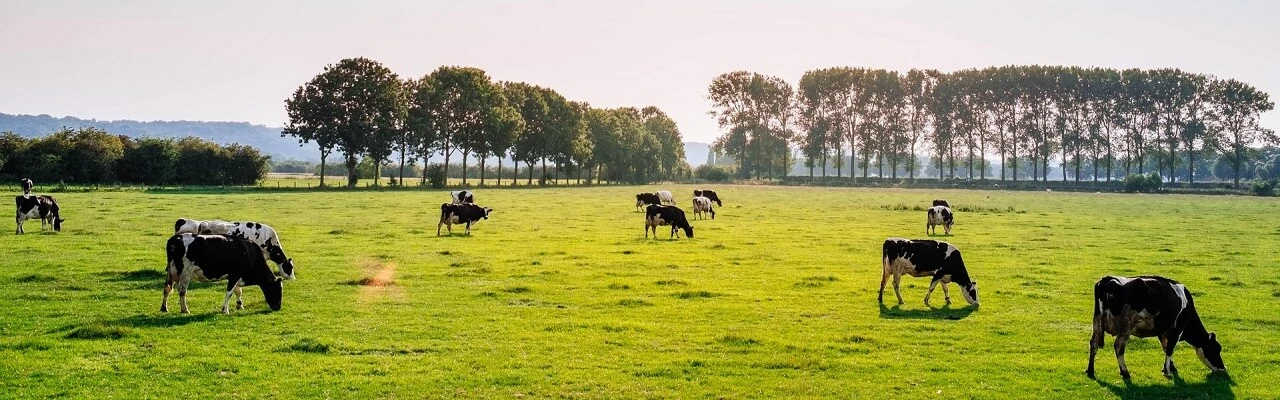 The Environmental Case For Free-Range Livestock? - Center for Nutrition  Studies