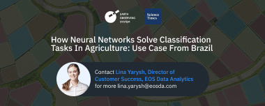 How Neural Networks Solve Classification Tasks In Agriculture: Use Case From Brazil