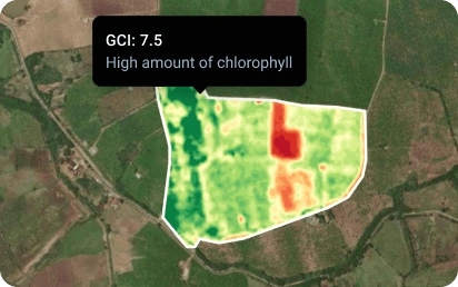 GCI