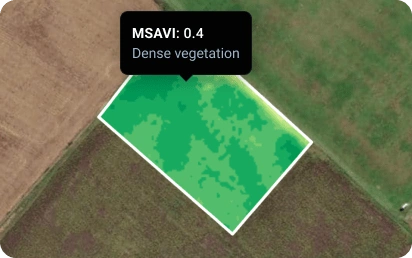 MSAVI