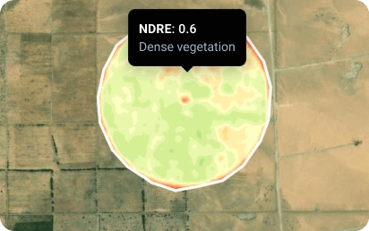 NDRE