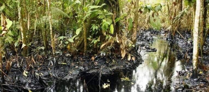 Crude Reflections / Cruda Realidad: Oil, Ruin and Resistance in the   Rainforest