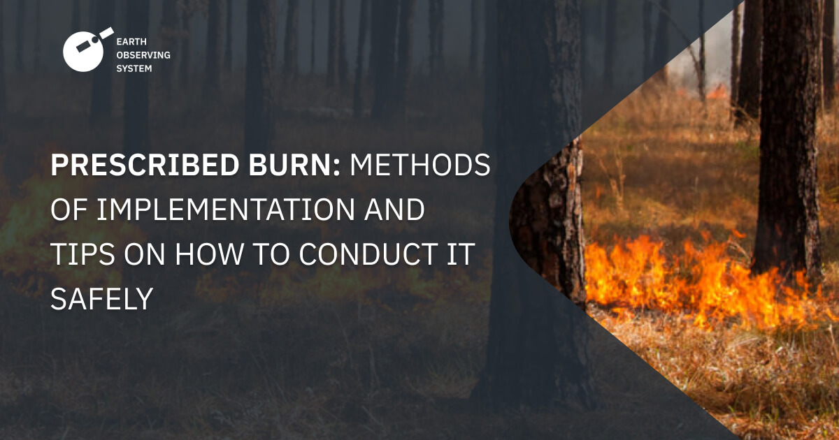 Prescribed Burn (Controlled Fires): Implementation Techniques