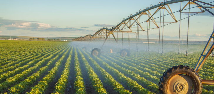 Crop Protection Methods That Boost Farming Productivity | The Farming Forum