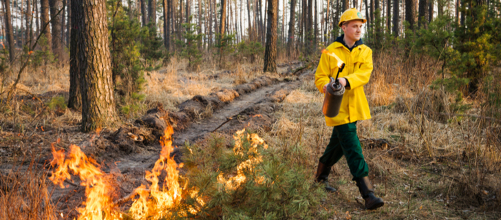 Prescribed Burn (Controlled Fires): Implementation Techniques