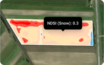 NDSI