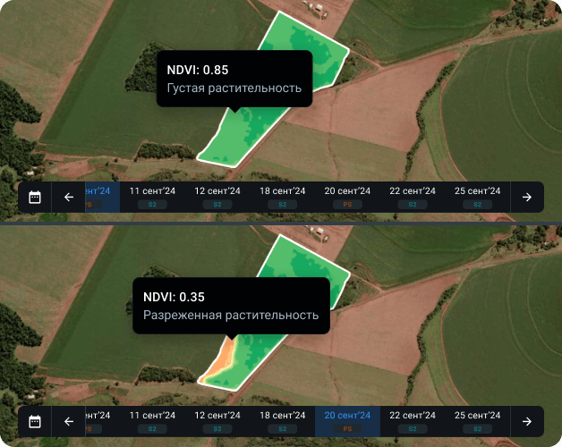 участок карты NDVI со стремительным изменением состояния здоровья культуры