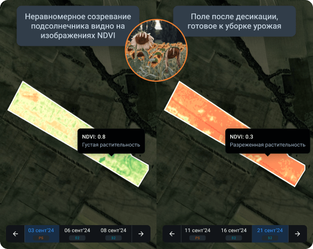 планирование и результаты точной десикации по изображенияхм ндви