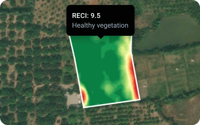 ReCI