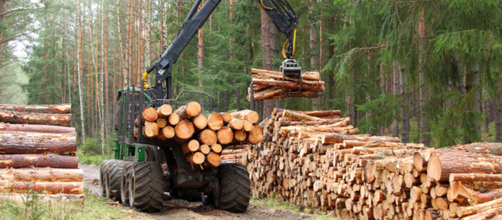 Selective Logging: Pros, Cons, And Implementation Methods