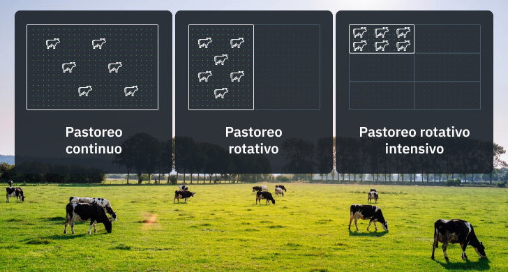 Manejo Del Pasto: Cómo Implementarlo Correctamente