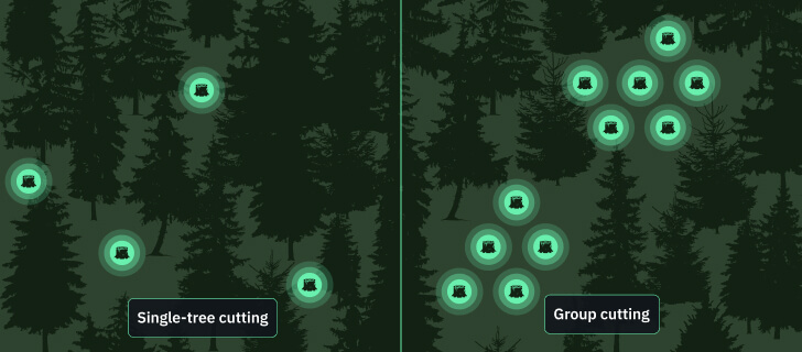 Selective Logging: Pros, Cons, And Implementation Methods