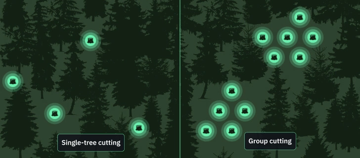 Selective Logging: Pros, Cons, And Implementation Methods