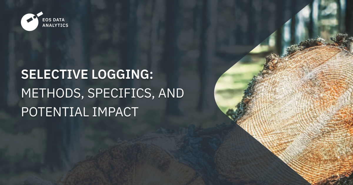 Selective Logging: Pros, Cons, And Implementation Methods