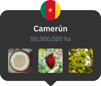 tarjeta de vista de la ciudad de Camerún