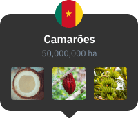 cartão de vista da cidade da Camarões