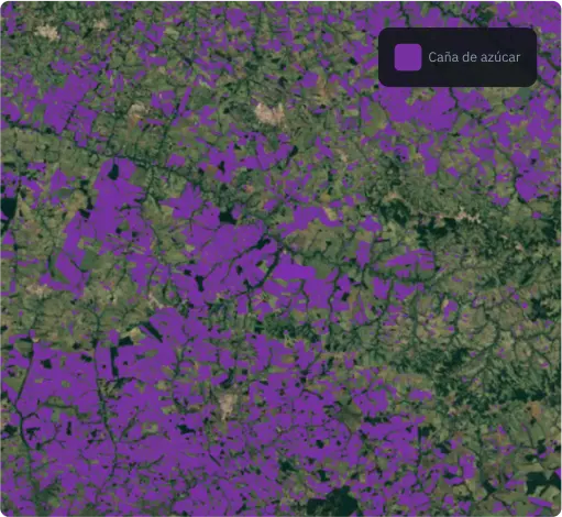 Máscara de la caña de azúcar basada en redes neuronales recurrentes bidireccionales basadas en LSTM
