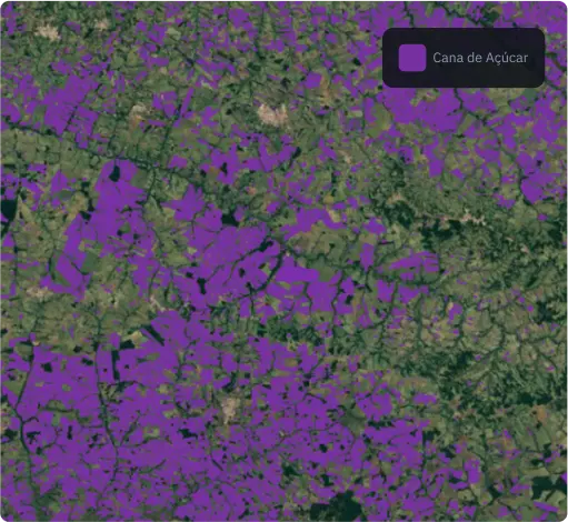 A máscara da cana-de-açúcar baseada em redes neuronais recorrentes bidirecionais baseadas no LSTM